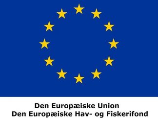 Logo for Den europæiske union